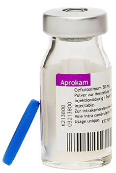 Apokram